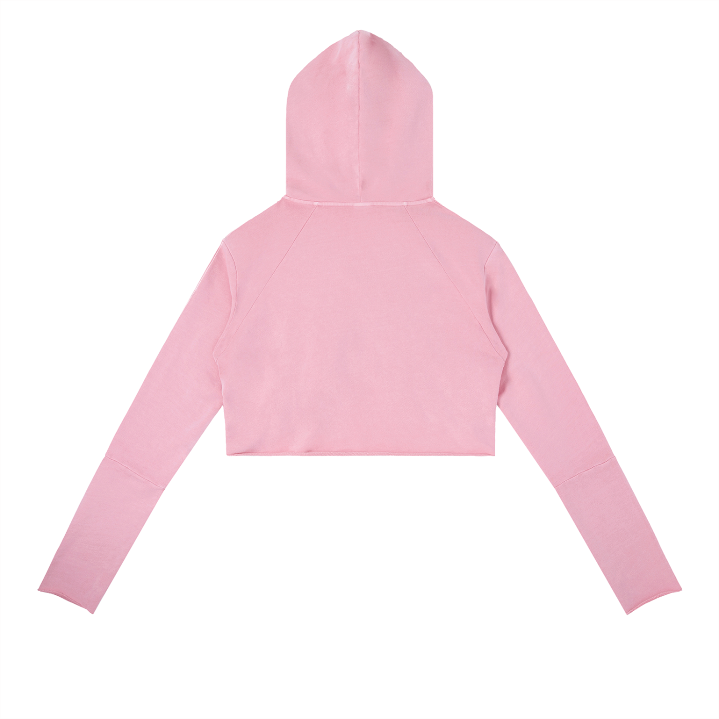 PLUR Cropped Hoodie