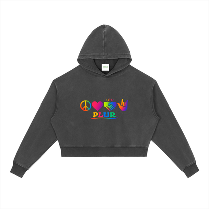 PLUR Heavyweight Hoodie