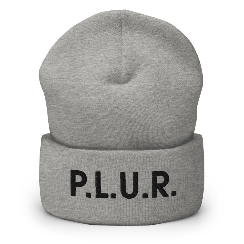 PLUR Beanie in Heather Grey